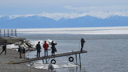 У славного моря // Корреспонденты Ъ изучили борьбу деревьев и людей на Байкале