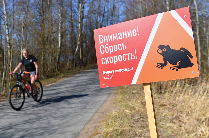 Предупреждающие плакаты на обочине — «Внимание! Сбрось скорость! Дорогу переходят жабы»