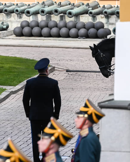 Лошадь время от времени  заглядывалась на глав государств