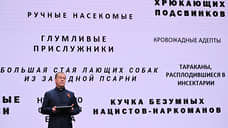 «За меня такую штуковину никто не напишет»