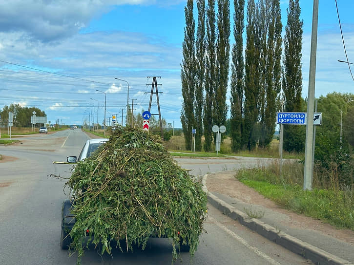 При съезде с М-12 сразу замечаешь разницу в составе участников дорожного движения