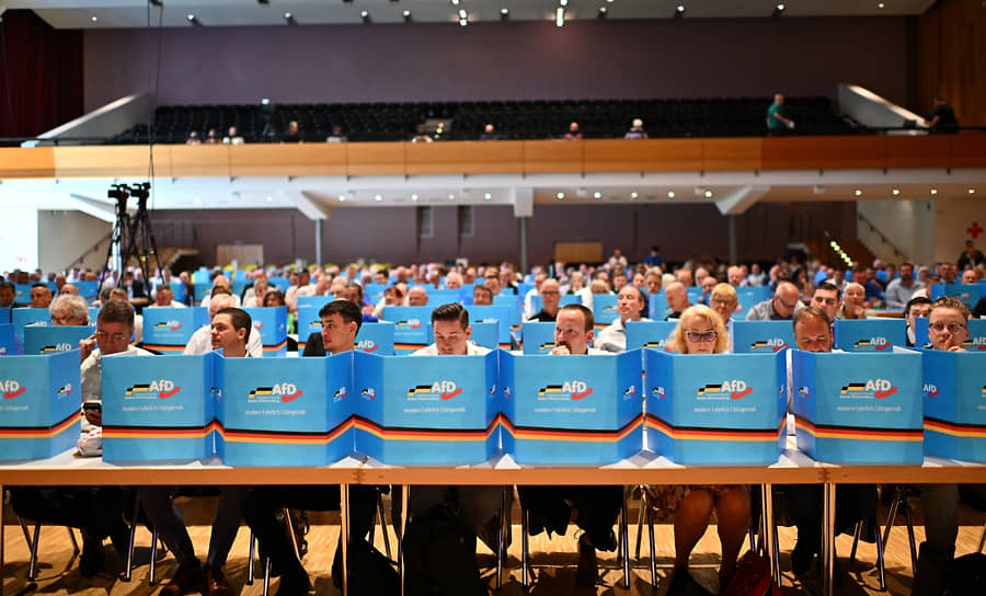 Члены «Альтернативы для Германии» на земельном собрании в Баден-Вюртемберге, 31 мая 2025 года
