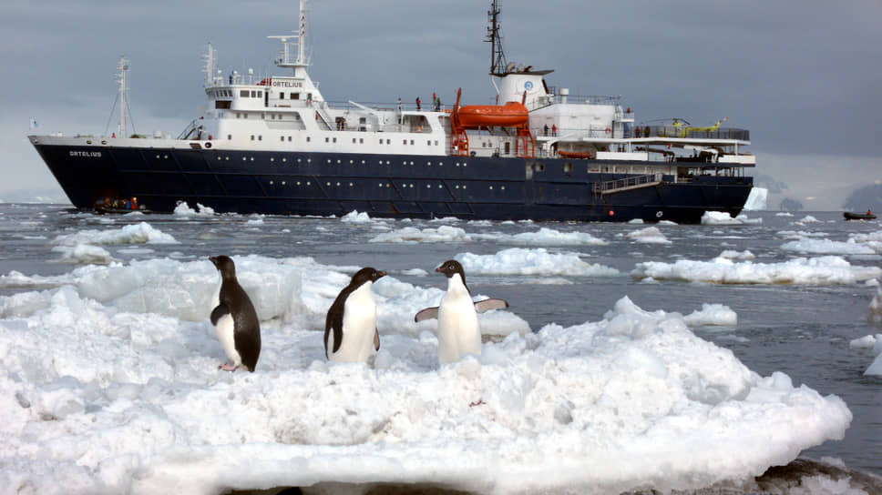 Круизный лайнер Ortelius у берегов Антарктиды