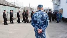 Срок нашли в разрезе