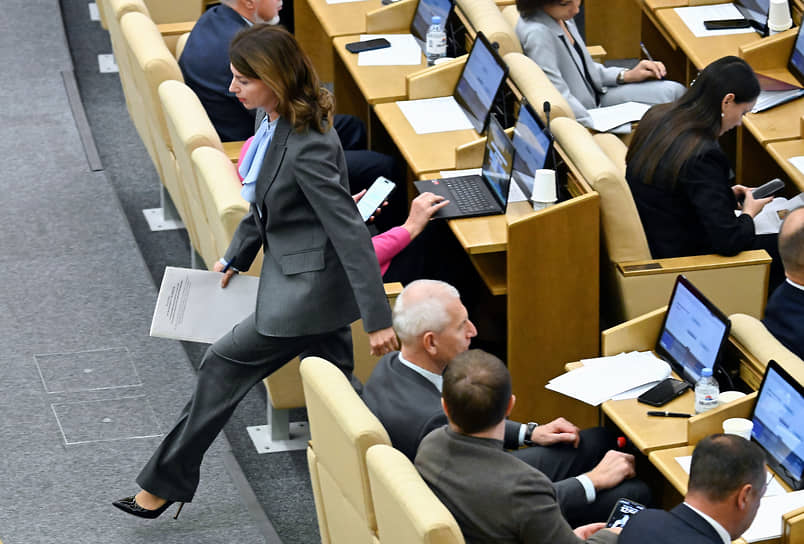Первый зампред комитета по государственному строительству и законодательству Ирина Панькина