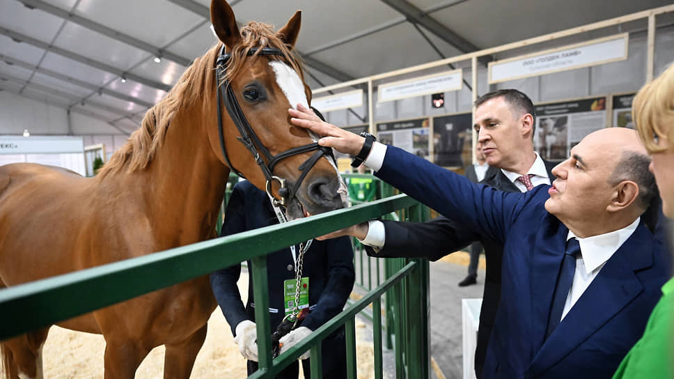 Лучшие фото за октябрь