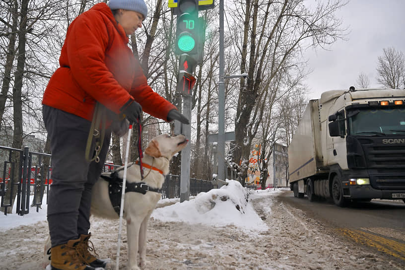 Обучение собак-проводников в Учебно-кинологическом центре «Собаки-помощники»