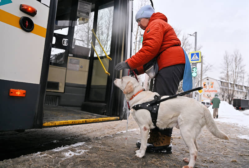 Обучение собак-проводников в Учебно-кинологическом центре «Собаки-помощники»
