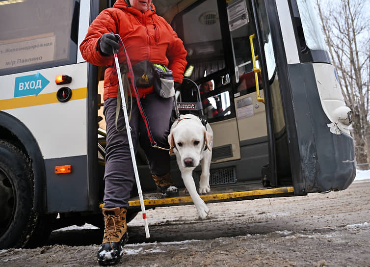 Обучение собак-проводников в Учебно-кинологическом центре «Собаки-помощники»