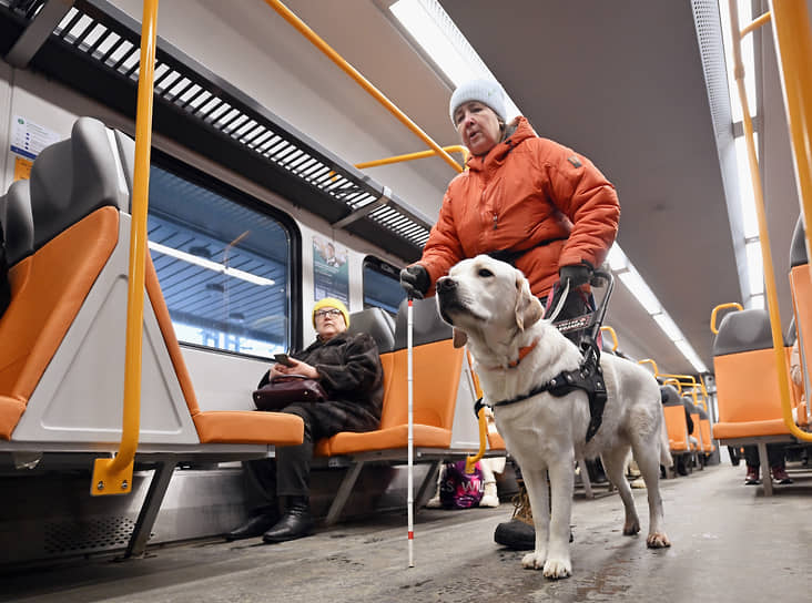 Обучение собак-проводников в Учебно-кинологическом центре «Собаки-помощники»