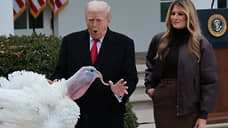 Праздник для индеек