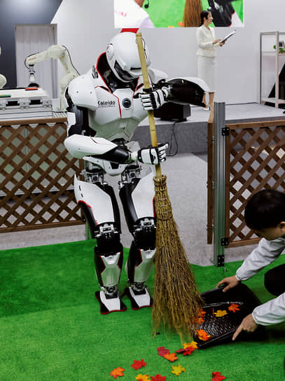 Kaleido 9 от Kawasaki подметает листву