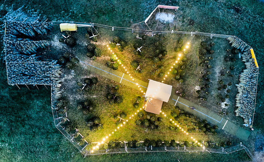 Подставка рождественской елки на окраине Франкфурта