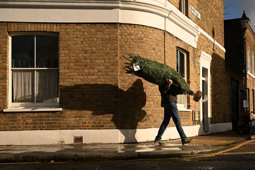 Мужчина с рождественской елкой в Лондоне