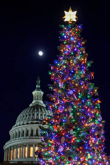 Рождественская ель у Капитолия в Вашингтоне