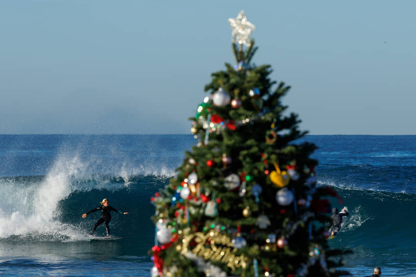 Рождественская елка на пляже в Калифорнии