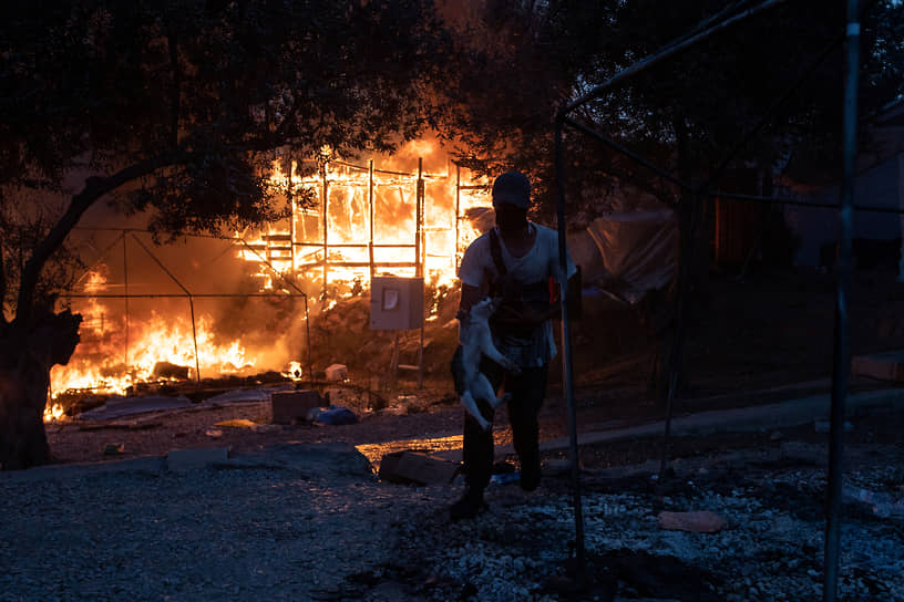 Мужчина с кошкой на пепелище