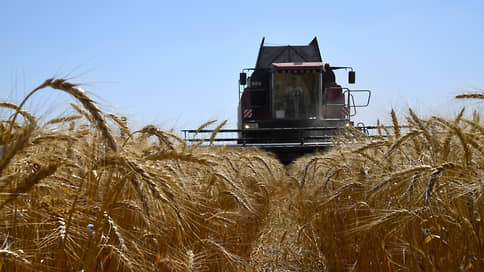 Ужмутся все // Анна Королева про жизнь аграриев в эпоху низкой рентабельности