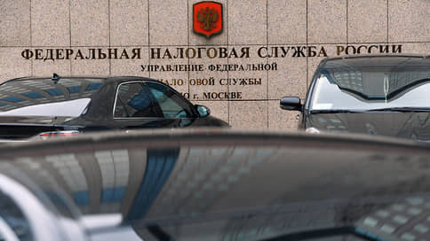 Бой с тенью // Евгения Крючкова о налоговых изменениях и дальнейших планах правительства