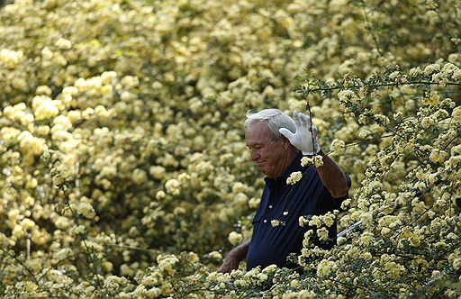 10.04.2008 Турнир по гольфу Masters Par 3 в США