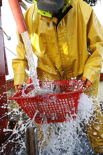 30.05.2008 Французские рыбаки пригрозят власти блокадой торговых портов на атлантическом побережье из-за повышения цен на топливо