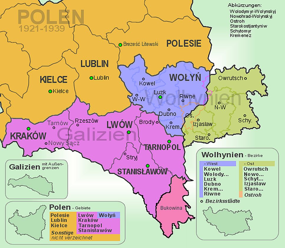 1924 год. Польское правительство запретило использовать украинский язык в государственных учреждениях Восточной Галиции