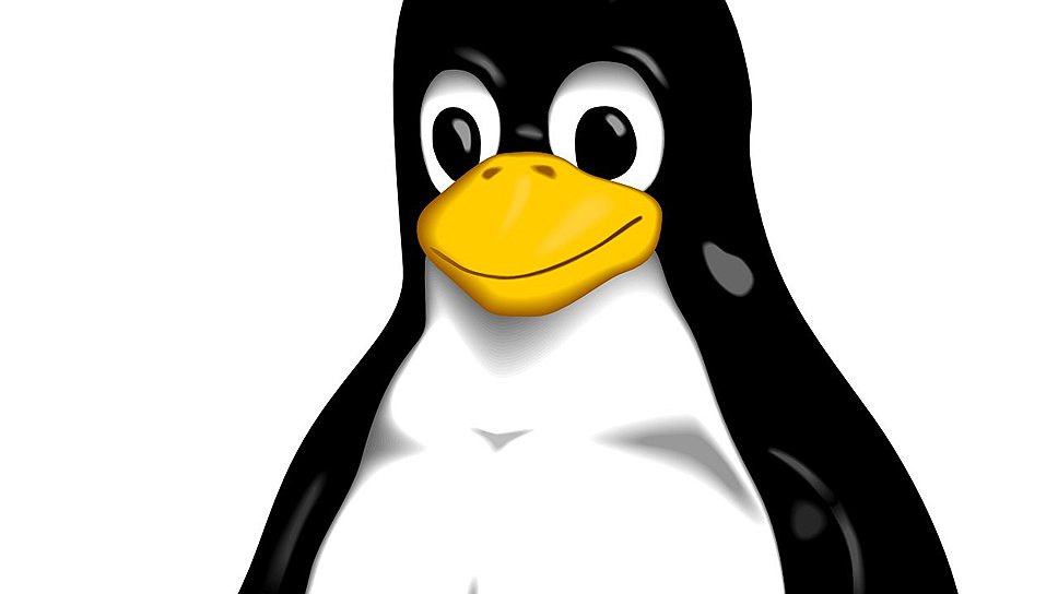 1991 год. День рождения ОС Linux