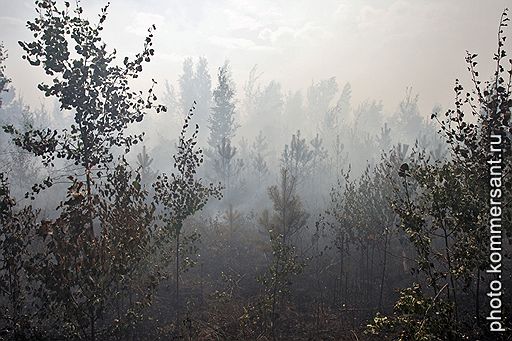 Городской округ Электрогорск. Сильное задымление, возникшее в результате горения торфа