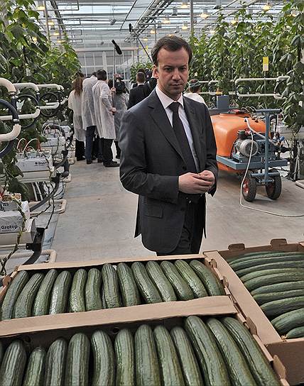 Российские огурцы вице-премьеру Аркадию Дворковичу (на фото) кажутся вкуснее