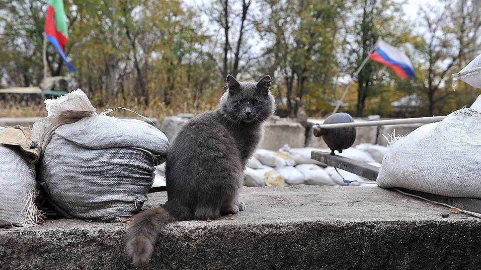 Для осмотра города к каждому журналисту приказом Игоря Безлера было прикреплено по телохранителю
