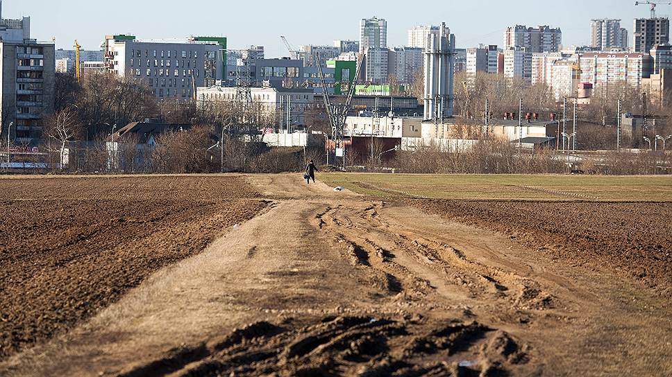 Как экс-министры сельского хозяйства — СССР, РСФСР и РФ — написали коллективное письмо Владимиру Путину