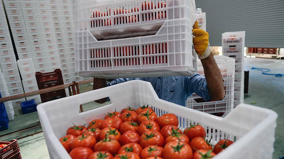 Как турецкие помидоры ввозят контрабандой