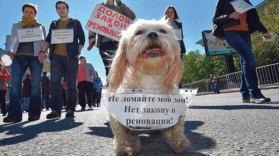 Как из-за реновации москвичи вышли на улицы