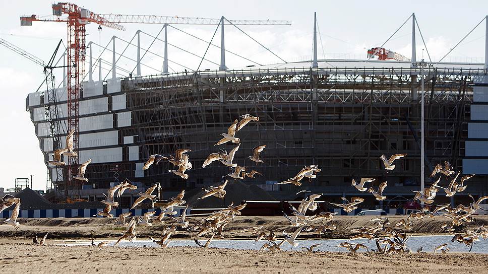 МВД выявило хищения при строительстве стадиона «Арена Балтика» к чемпионату мира по футболу