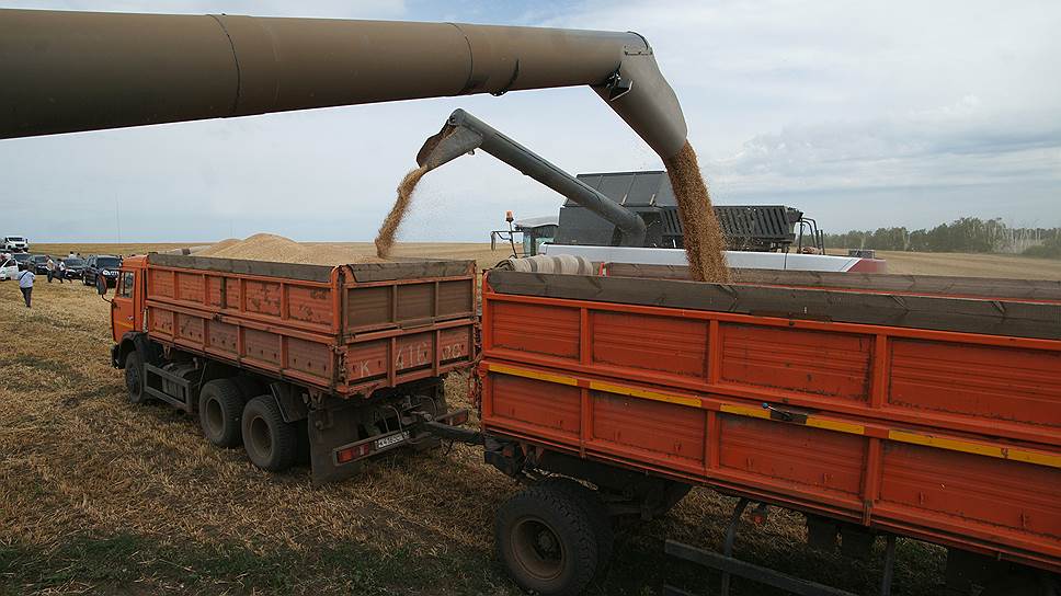Экспортные котировки на российскую пшеницу обвалились на ожиданиях рекордного урожая