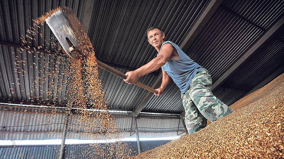 По прогнозам ФАО ООН и ОЭСР, спрос на зерновые не одолеет предложения