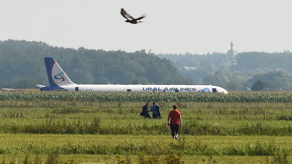 Как пилоты совершили аварийную посадку самолета в кукурузном поле
