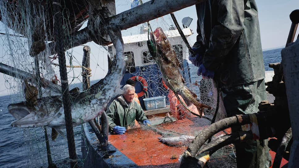 Как из-за коронавируса страдает рыболопромышленная отрасль