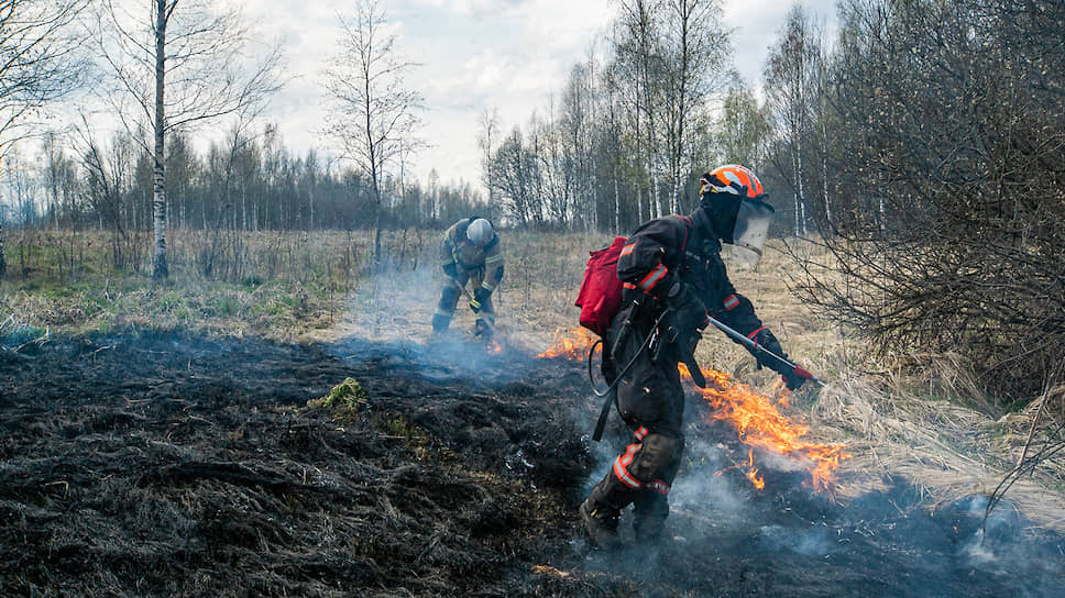 Как в России пересчитывали природные пожары