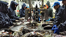 Рыбаки стремятся в Индонезию