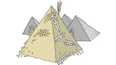 Египет засыпало российским зерном