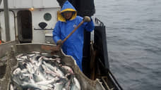 Рыбакам приписали браконьеров