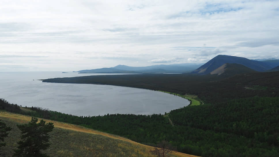 Госдума принимает законопроект о сплошных рубках в экологической зоне озера