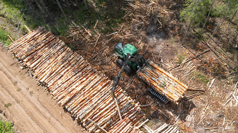 «Голубая лагуна» в лесу // Структура Михаила Сиволдаева инвестировала в заготовку древесины