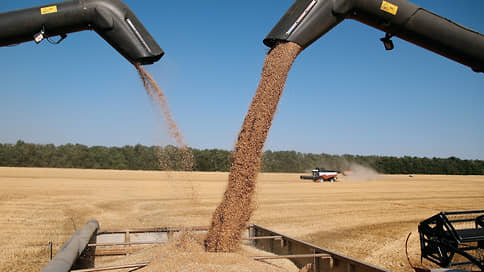 Пшенице подняли оценку // Мониторинг рынка продовольствия