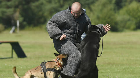 Собака бывает кусачей от недосмотра хозяев // В Госдуме предлагают ужесточить наказание владельцев за агрессию питомцев
