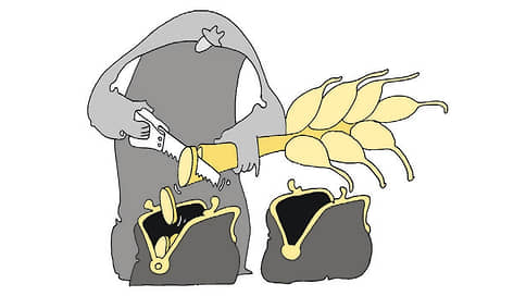 Прогноз выдался урожайный // Аналитики ждут роста сбора зерновых в следующем году