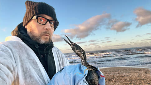 В Черном море, в черной пене // Корреспондент Ъ вместе с волонтерами чистил пляж и отмывал птиц от мазута