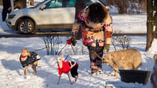 Перепись домашних животных