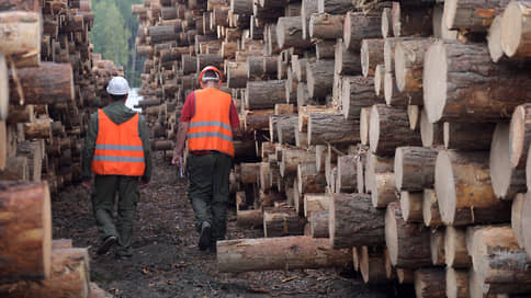 In the first quarter, forest shipments grew by rail